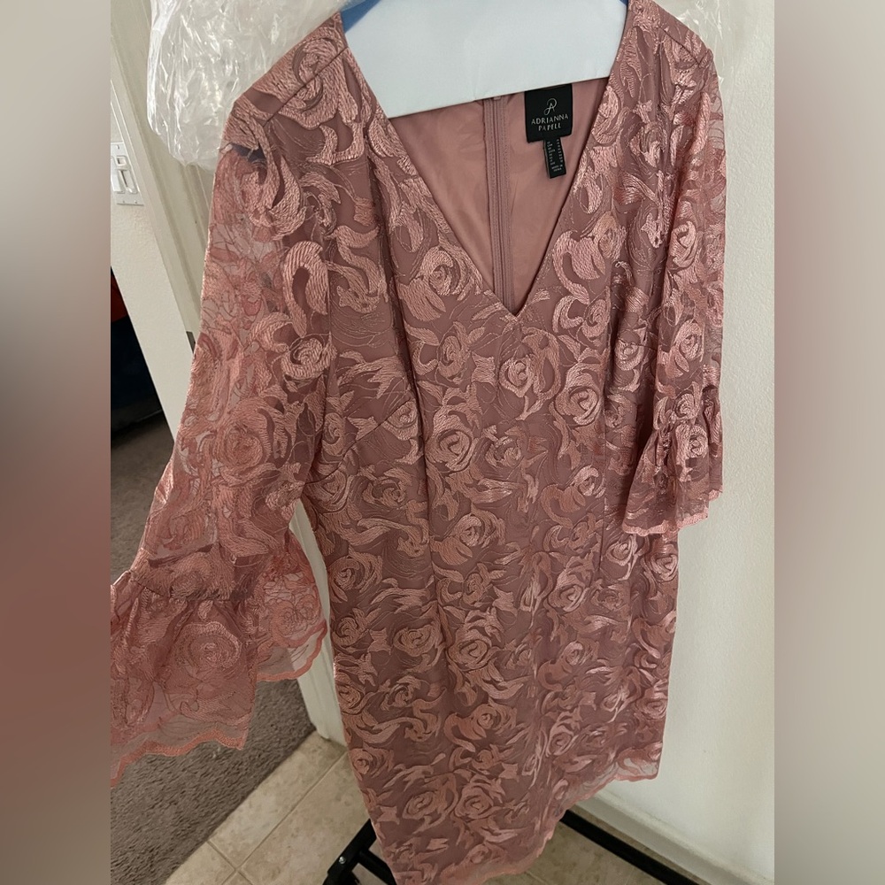 Adrianna Papell Blush Floral Lace Dress